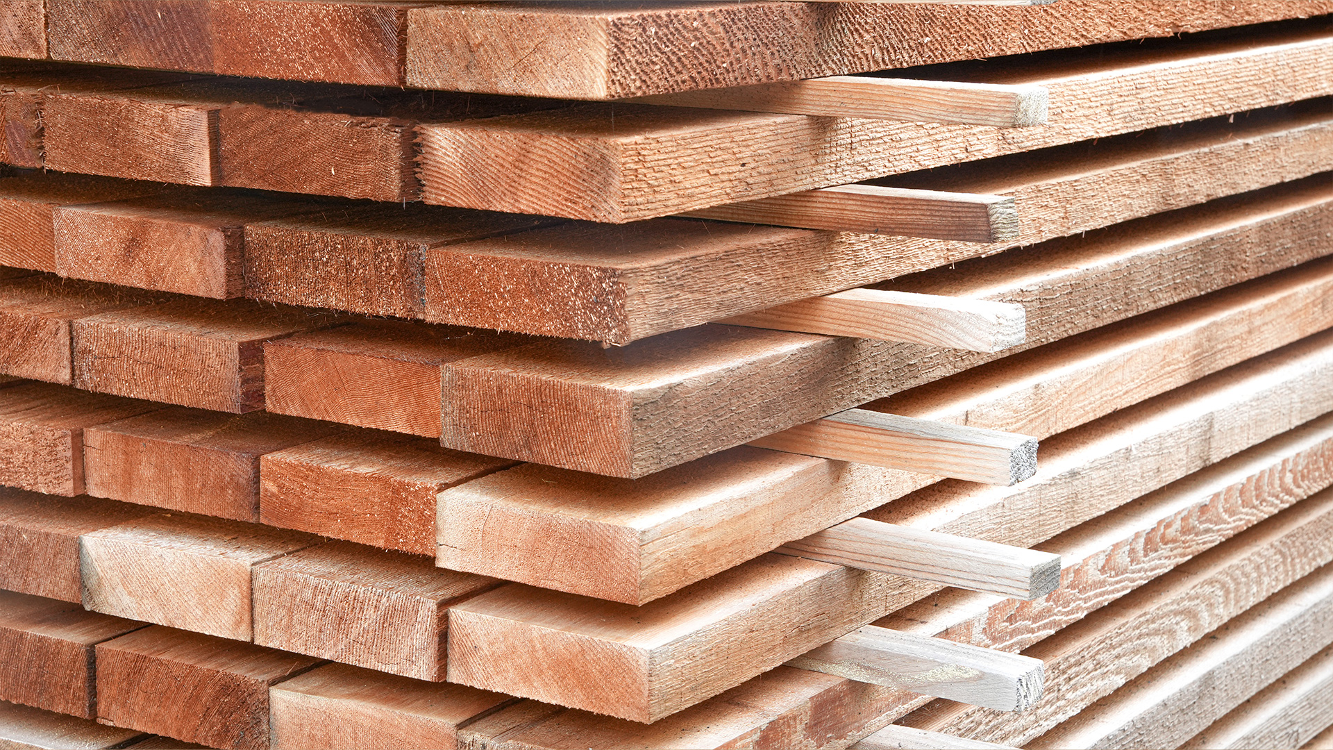 Red & Yellow Cedar