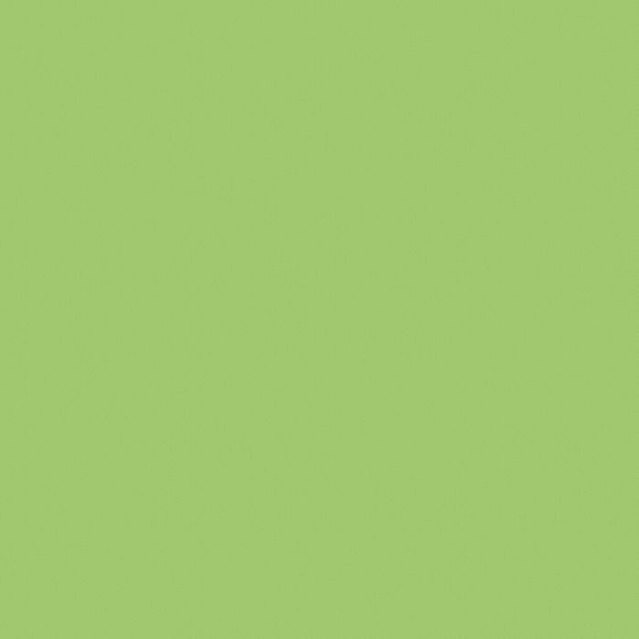 Stratifié 0.8mm U630 ST9  Egger Vert pomme