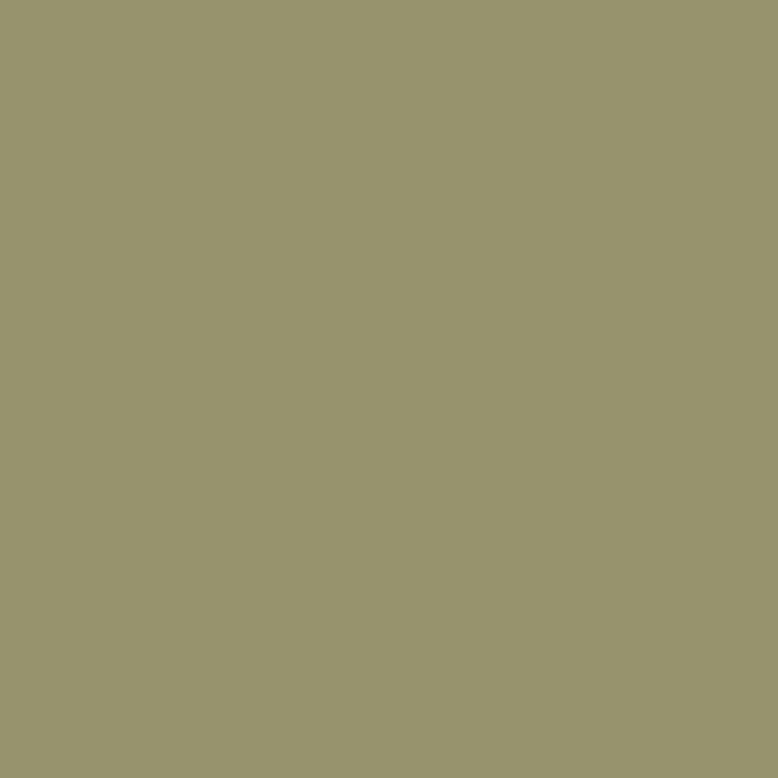 Stratifié 0.8mm U640 ST9 Egger Vert olive Stratifié 0.8mm U640 ST9 Egger Vert olive