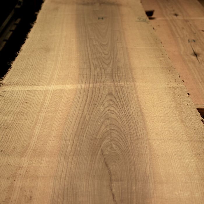 Frêne Olivier 34 mm détail mesurage plot. Frêne Olivier 34 mm détail mesurage plot.