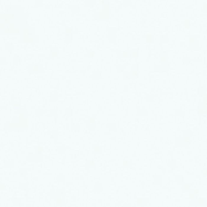 PVC expansé blanc excell 04 mm 