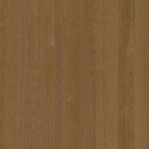 Chant querkus terra camello 24 mm plain 0,6 mm non encollé.