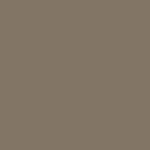 Chant ABS 23x0.8 mm P001 FA Polyrey Pierre de lune