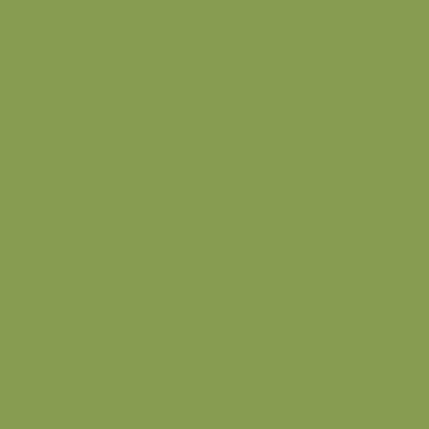 Egger vert kiwi ST9