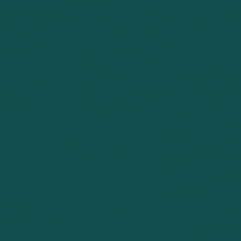 Chant ABS 23x0.8 mm V108 FA Polyrey Vert sarcelle