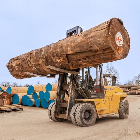 Ouvrier(ère) de scierie Cariste 