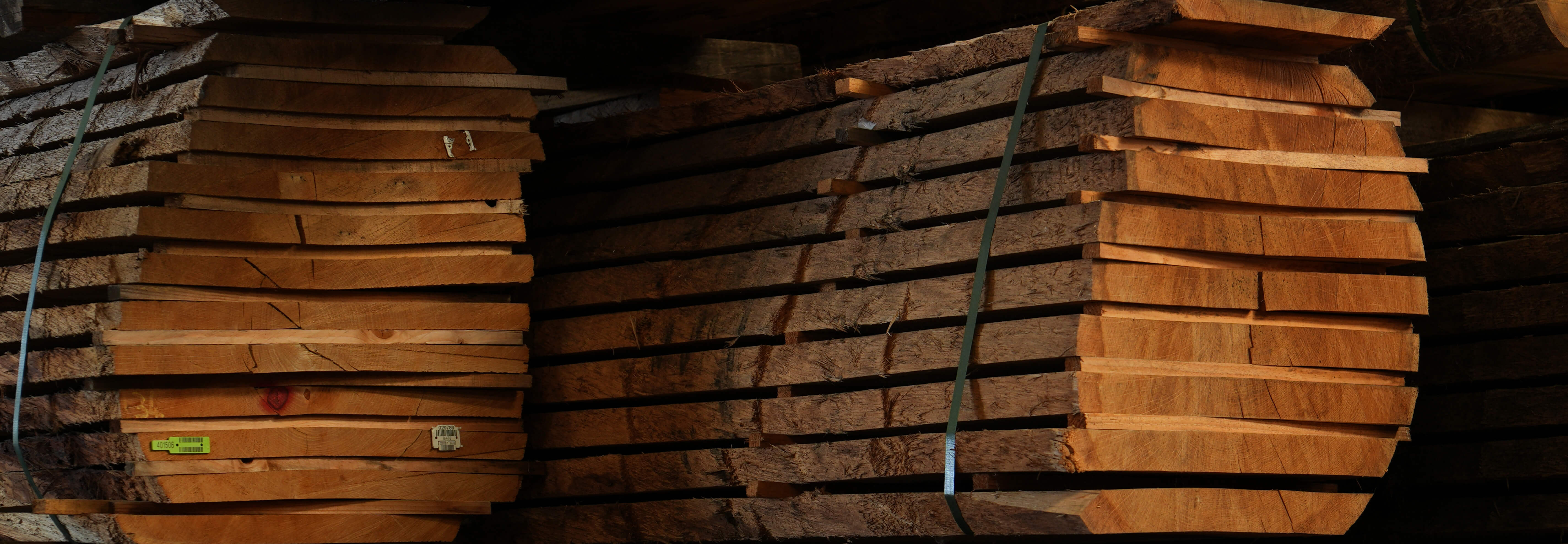 Foire au Bois de Batibois : une tradition renouvelée 