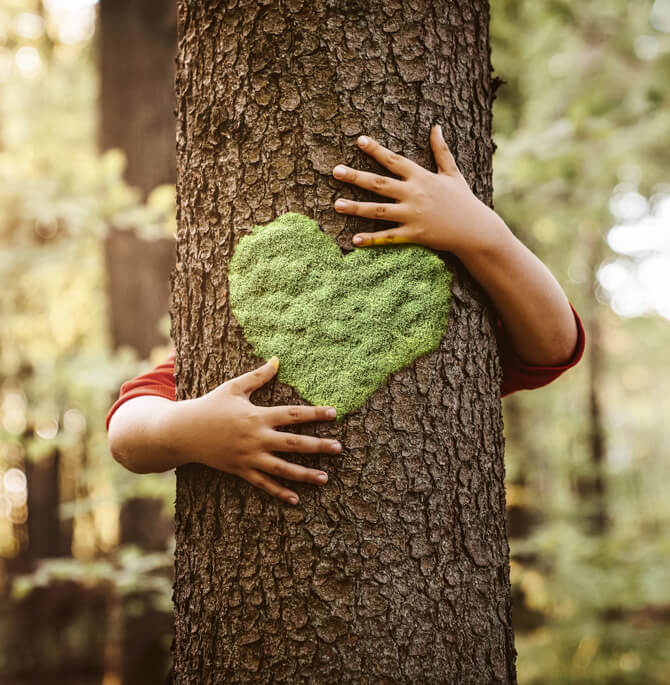 À chaque arbre,  une histoire précieuse