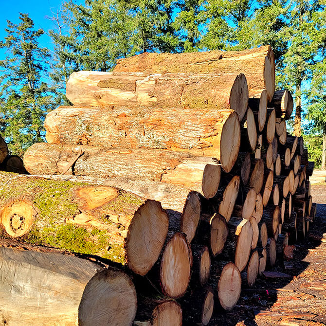 Bois certifiés, Bois contrôlés