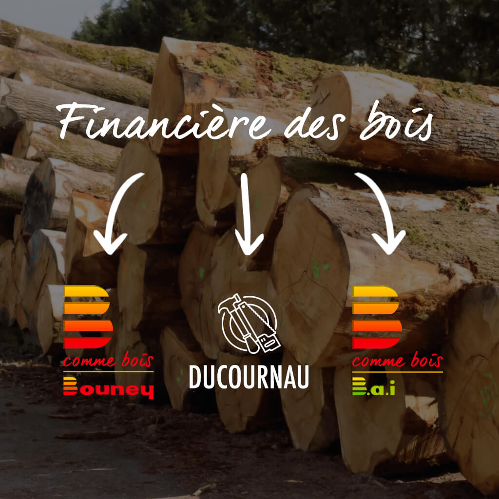 Naissance de la holding